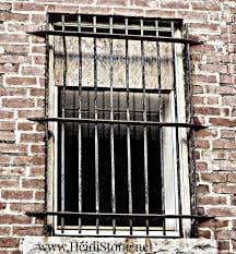 Window bars to prevent intruders